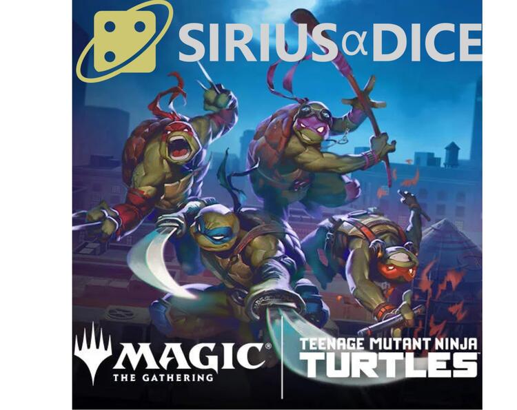 MTG TMNT Mystery Packs