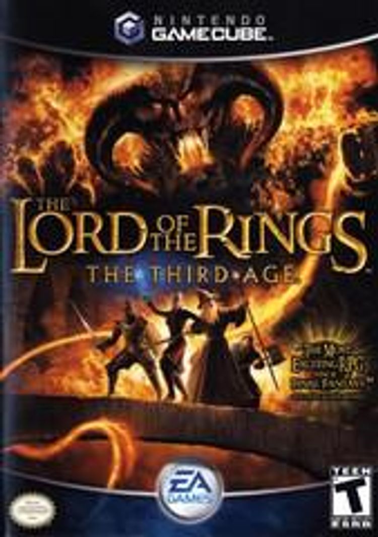 Lord of the Rings: The Third Age (usagé)