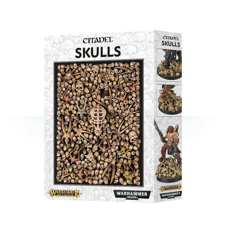 Citadel Skull Box