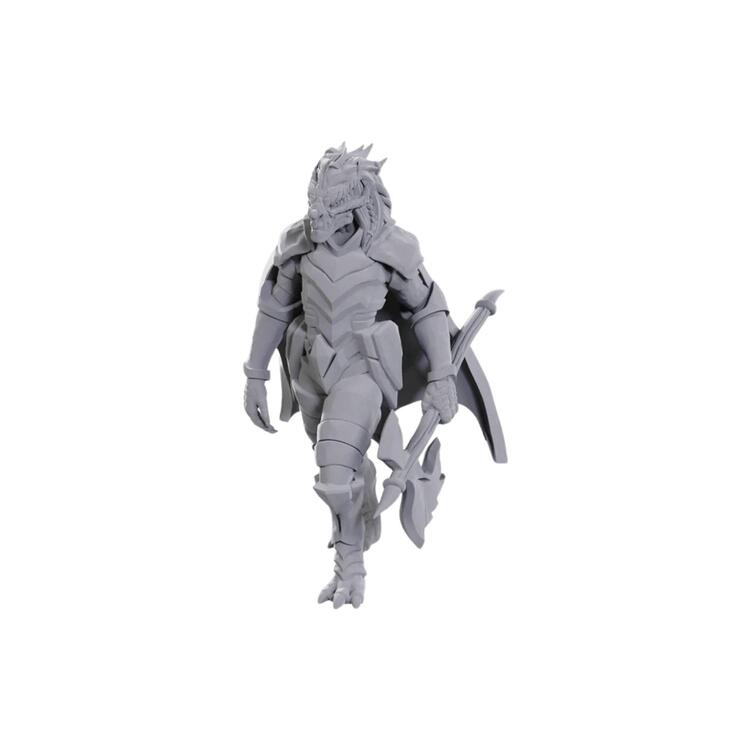 D&D Dragonborn Of Tiamat