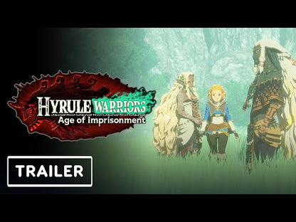 Hyrule Warriors: Age of Imprisonment